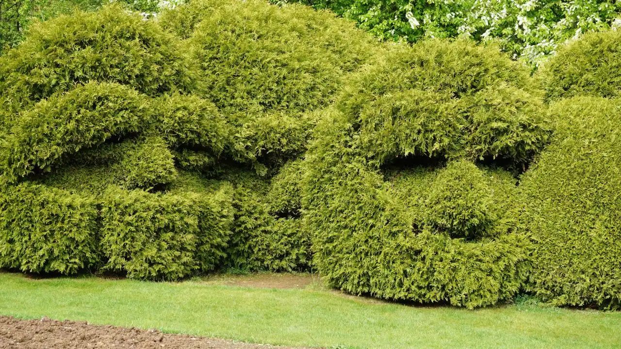 7 Garden Jobs You Should Never Do in September 2