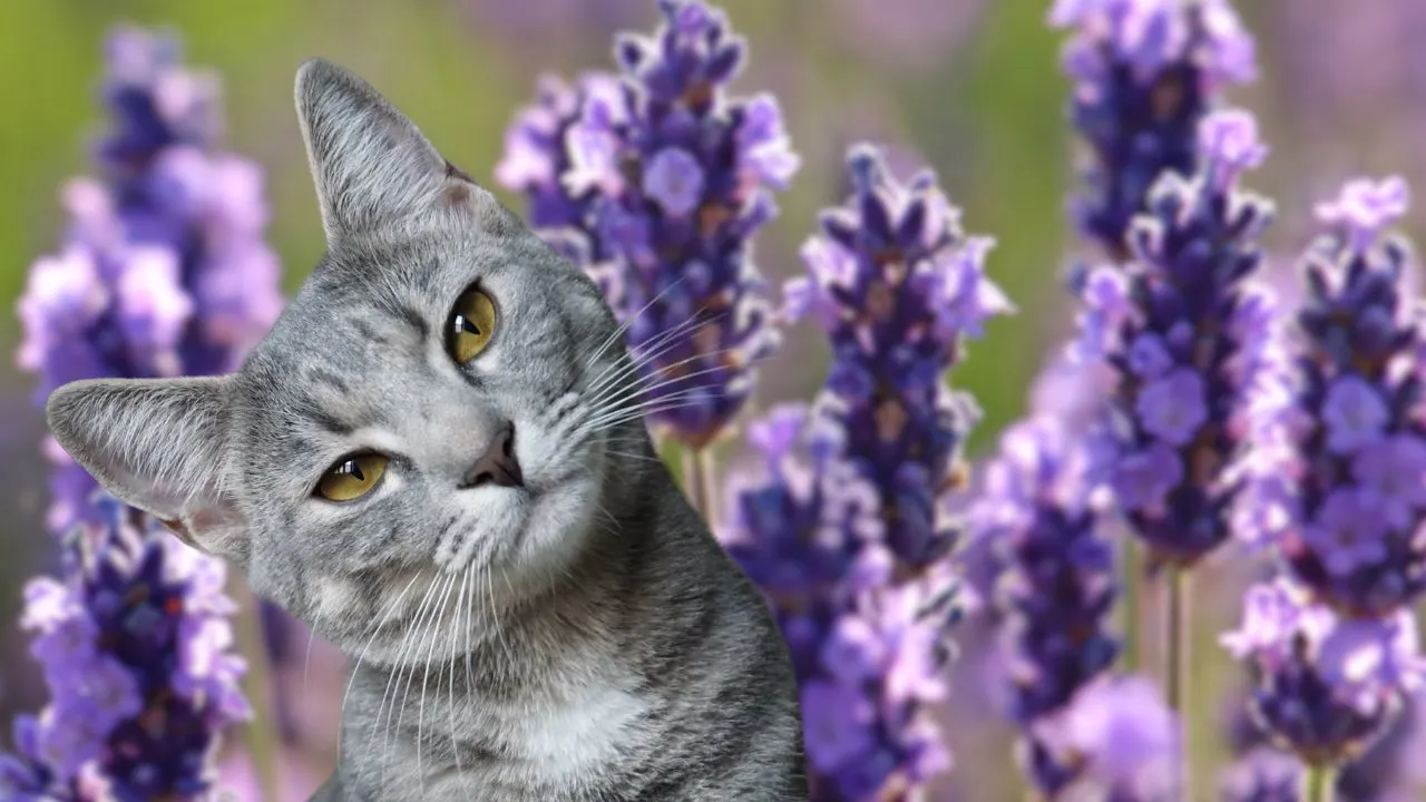 Why Cats Love Certain Plants (And Hate Others) 2