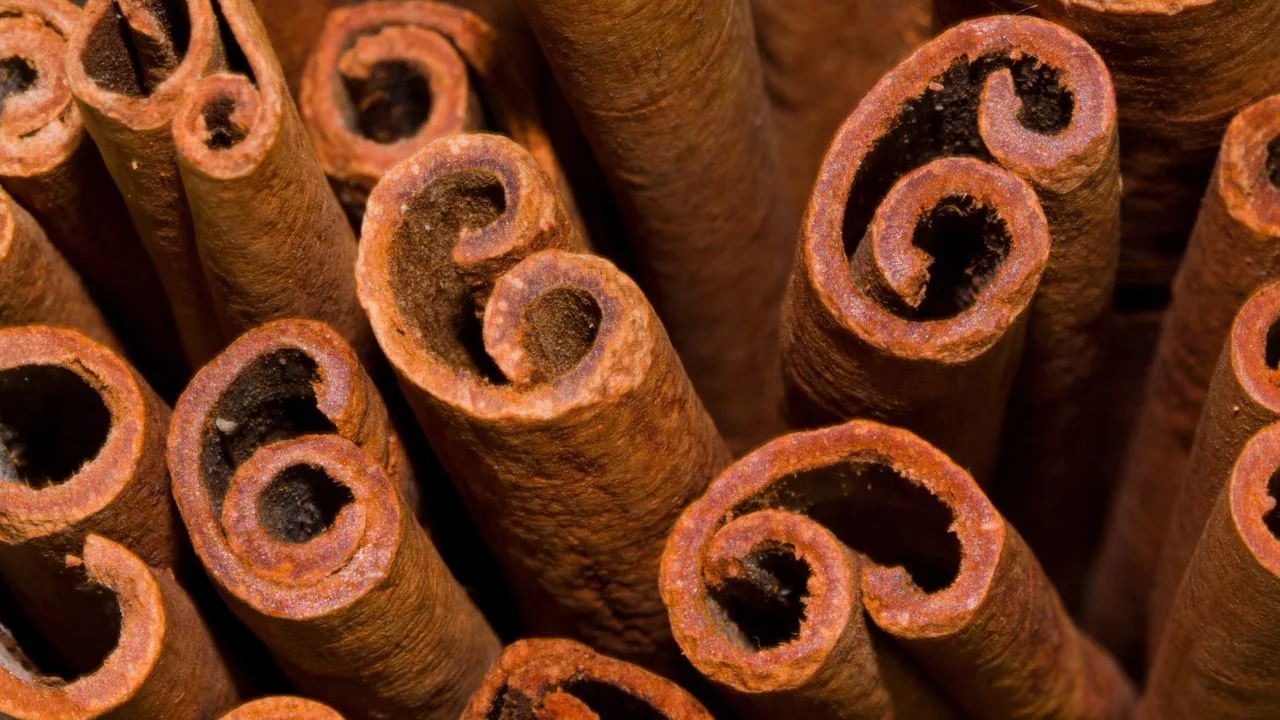 7 Spices That Do More in the Garden Than in Your Kitchen 1
