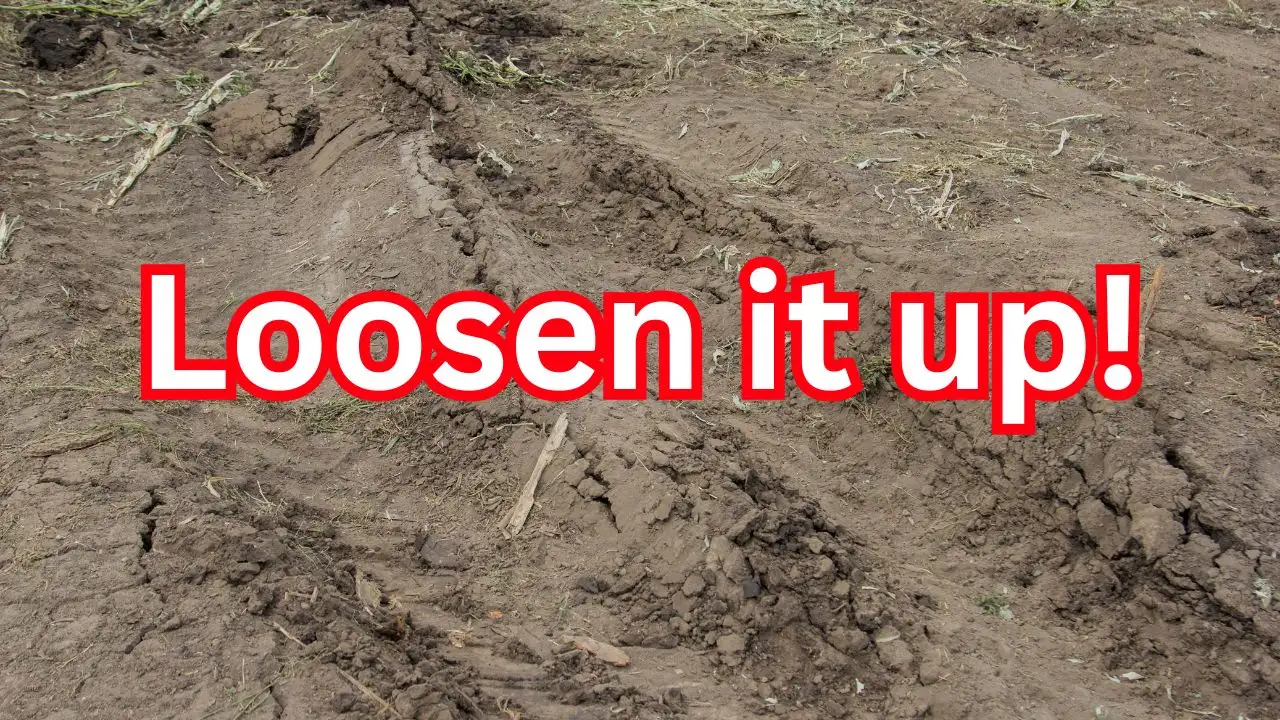 10 Soil Tricks That Make Fall Crops Explode With Growth 3