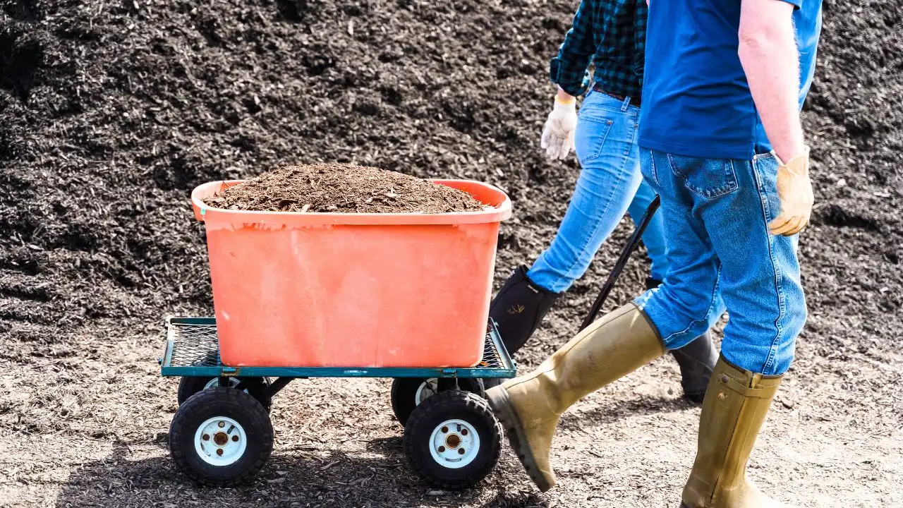 15 Expensive Garden Products You Can Replace for Free 3