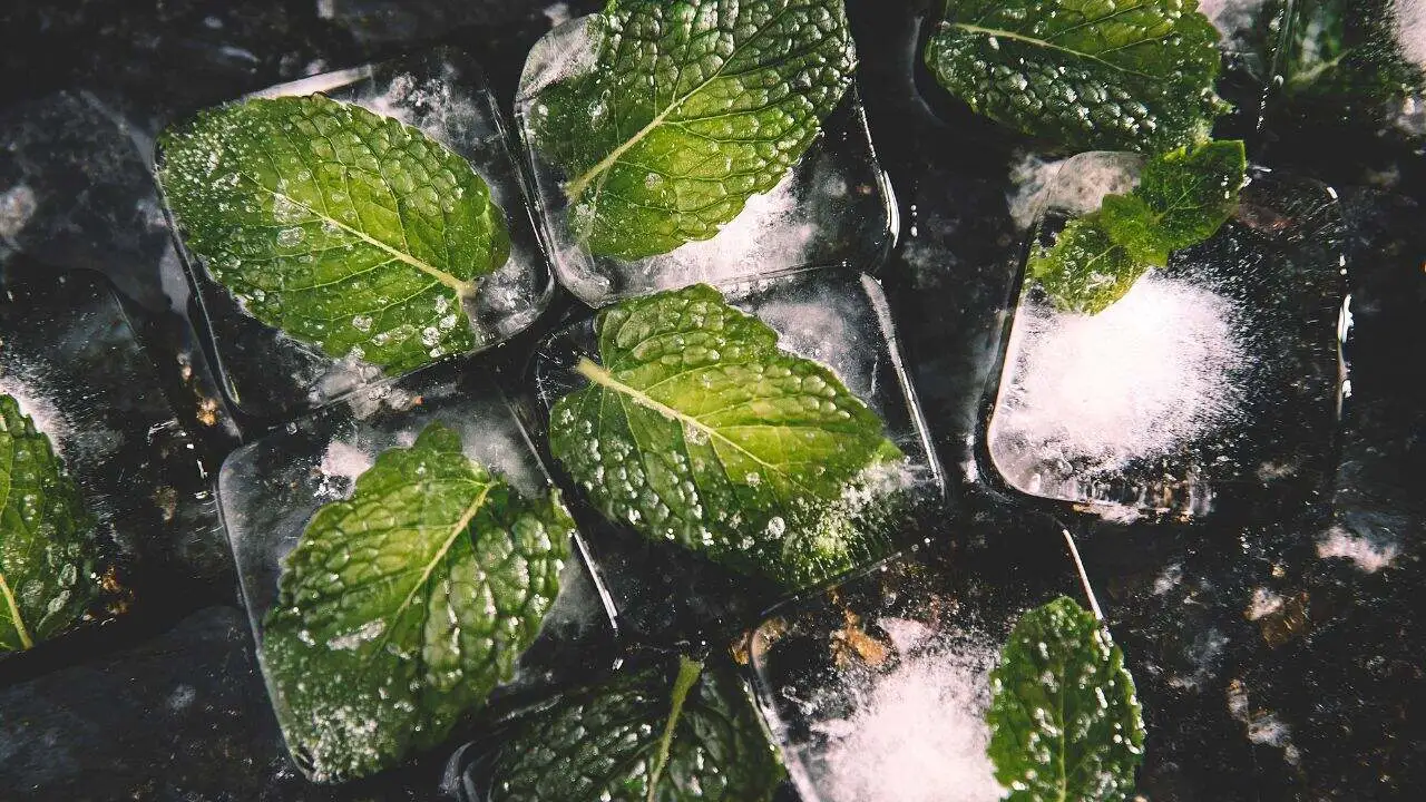 7 Ways Gardeners Preserve Their Harvests Before It Spoils 5