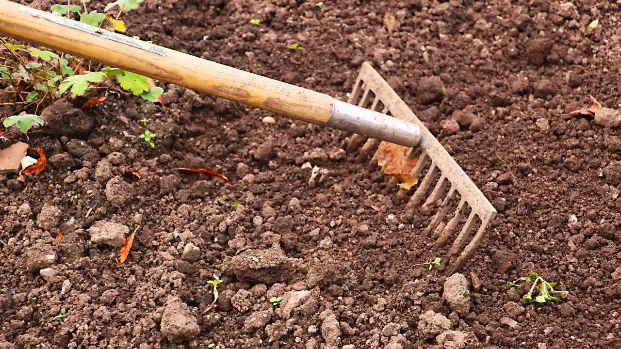 7 Garden Jobs You Should Never Do in September 4
