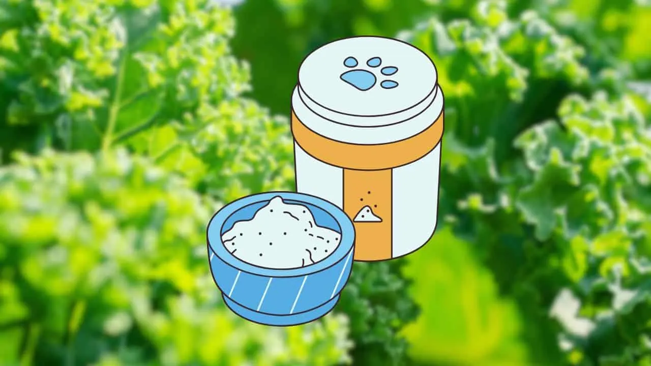 10 Soil Tricks That Make Fall Crops Explode With Growth 5