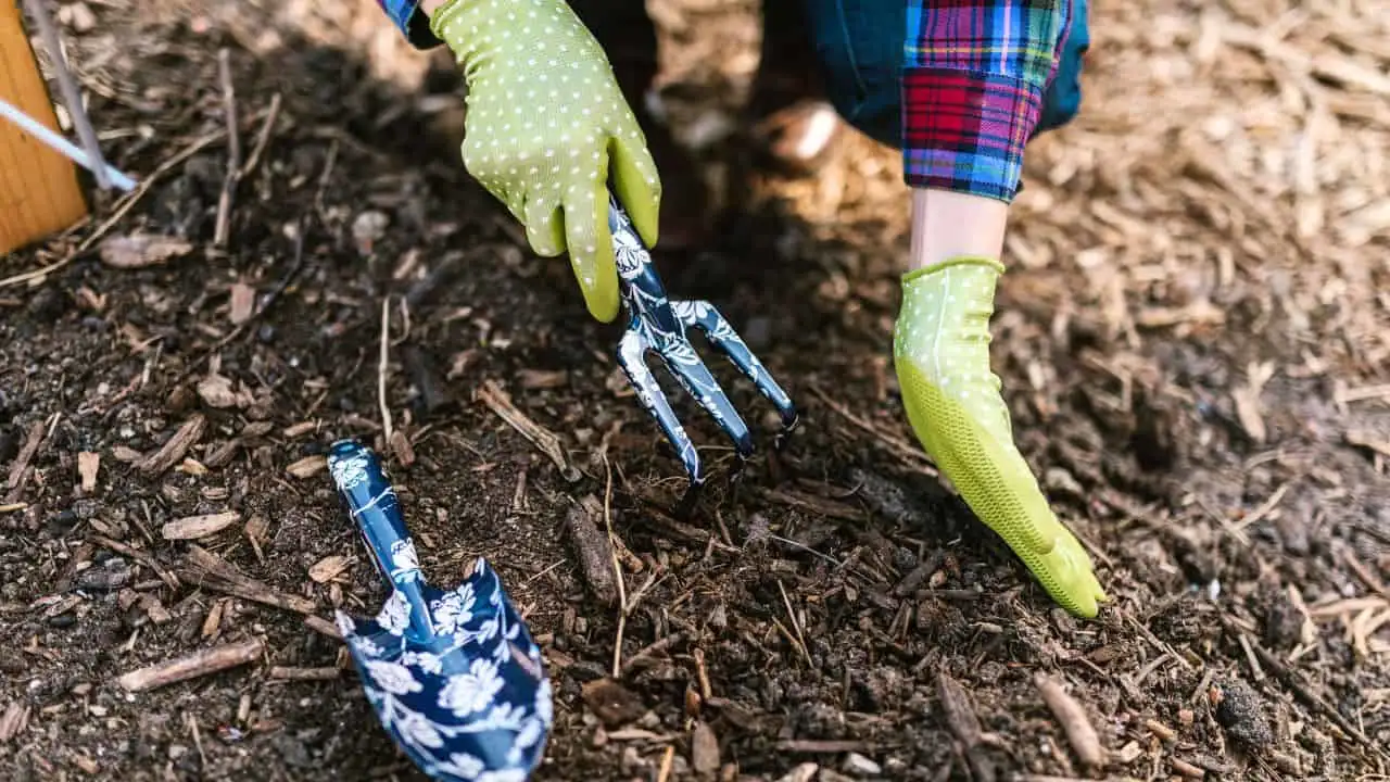 9 Late-Summer Garden Bargains You Should Grab Now 3