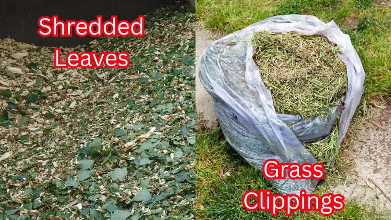 10 Soil Tricks That Make Fall Crops Explode With Growth 4