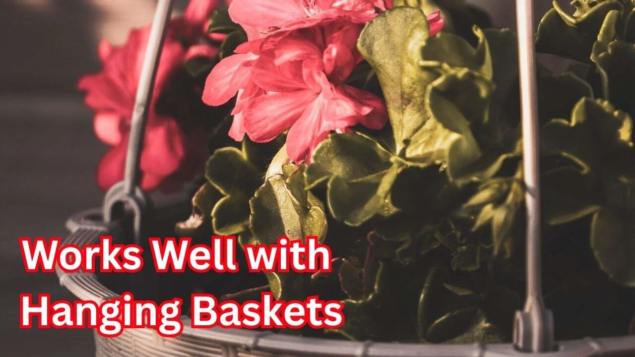 Why Gardeners Are Suddenly Using Baby Diapers 2