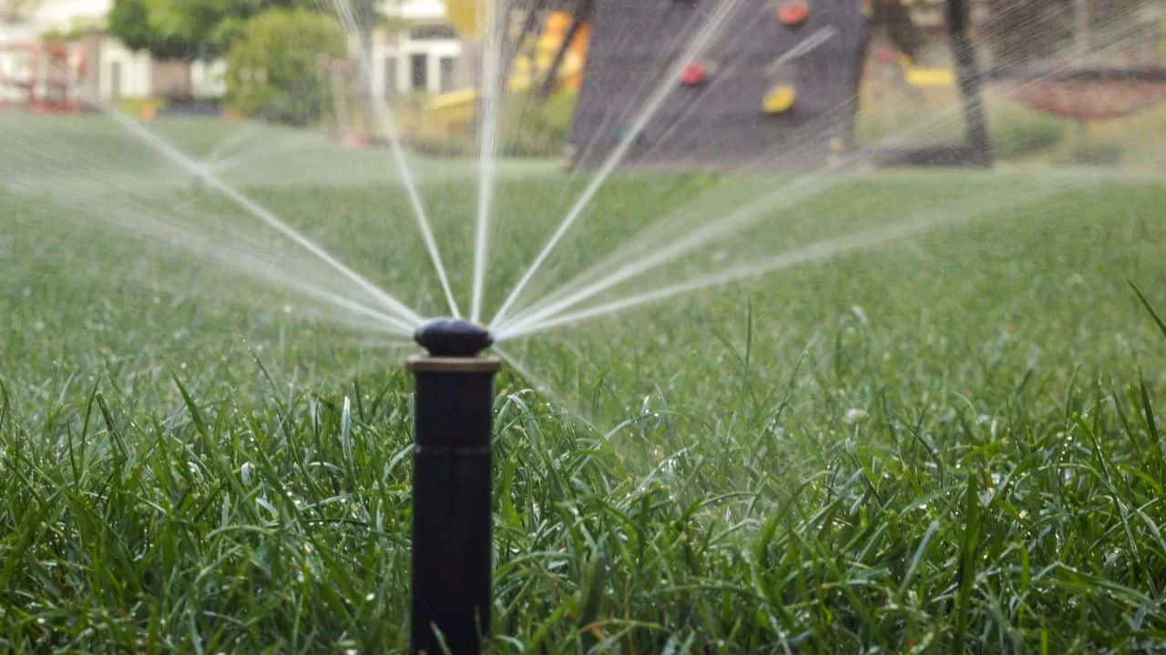The Mowing Mistake Everyone Makes in August 3