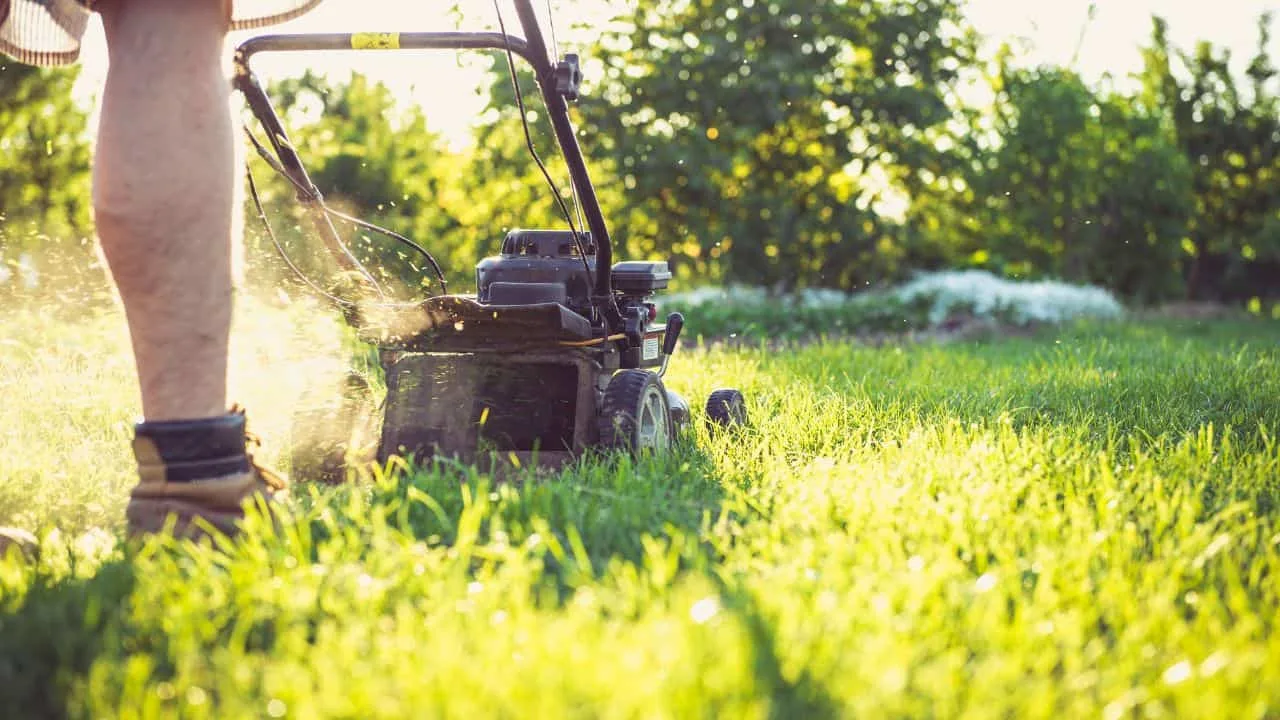 10 Lawn Fixes You Must Do Now 10