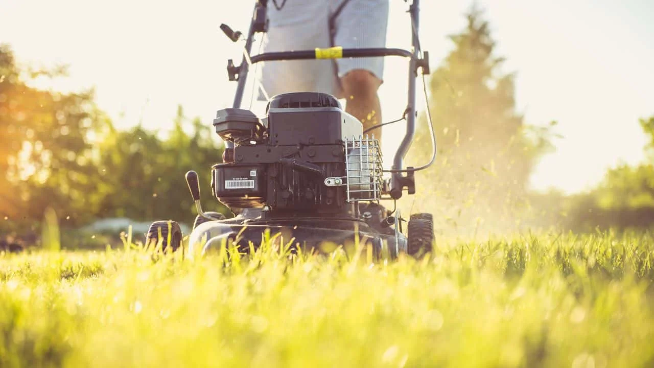 The Mowing Mistake Everyone Makes in August 4