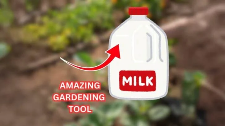 11 Milk Jug Gardening Hacks to Grow More for Less