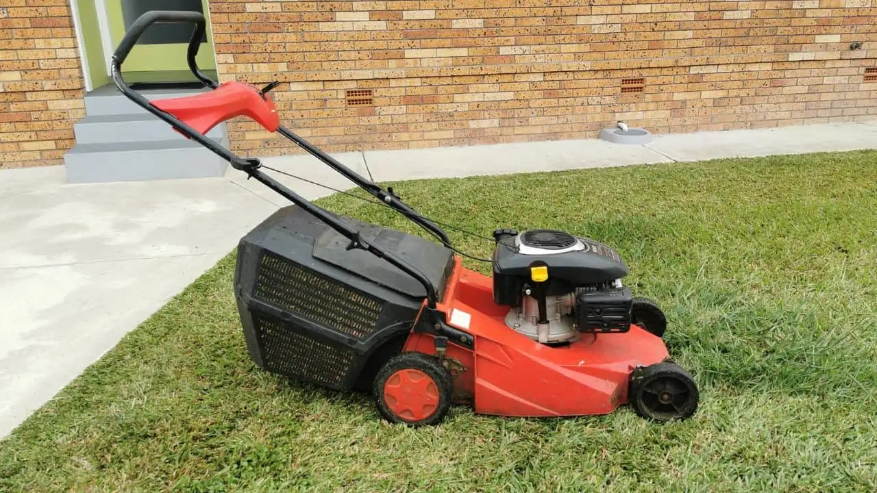 10 Lawn Fixes You Must Do Now 6