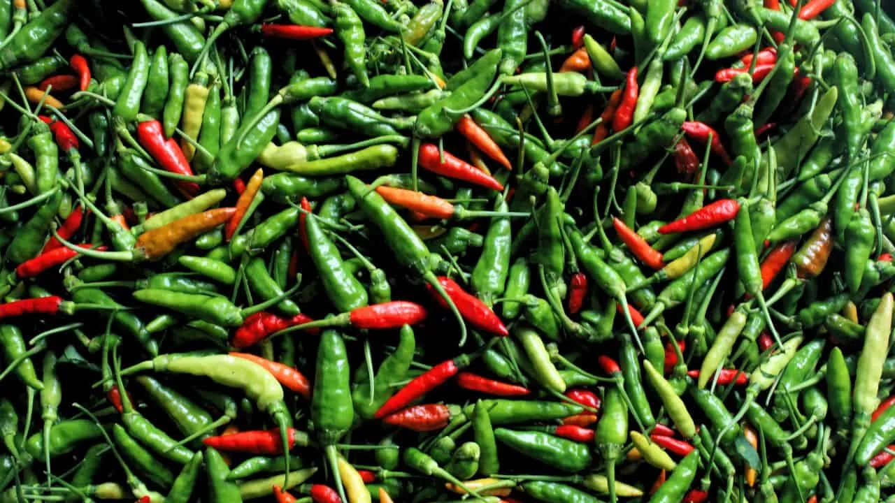 17 Garden Favorites That Love Your Kitchen Scraps 7