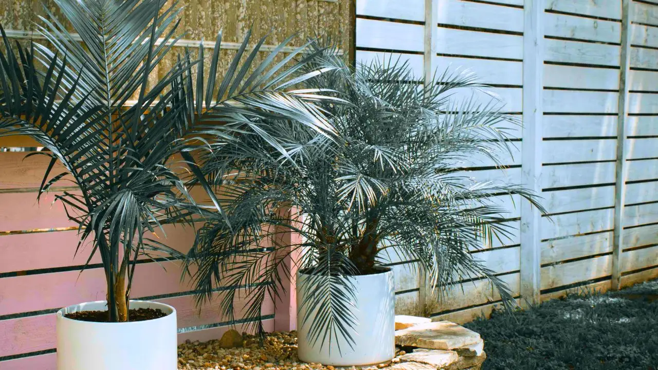 15 Expensive Garden Products You Can Replace for Free 4