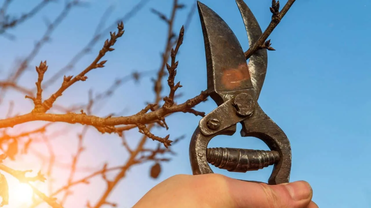 10 Gardening Rules You Can Totally Break (And Still Get Amazing Results) 2