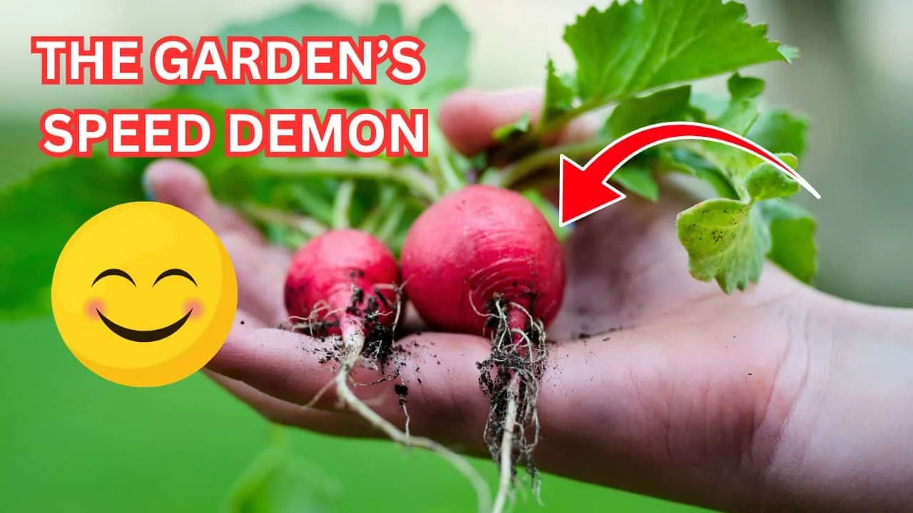 10 Frost-Resistant Veggies to Start in February 6