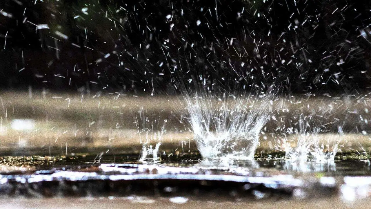 9 Waters Plants Love Most and 2 They Secretly Hate 7