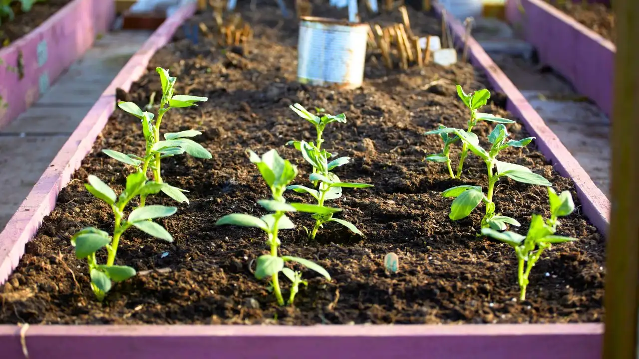 15 Expensive Garden Products You Can Replace for Free 5