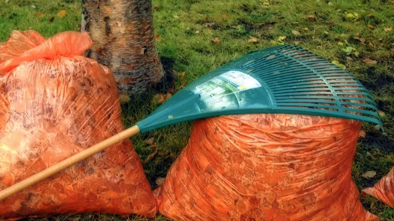 7 Tools That Save Your Garden in Fall 1