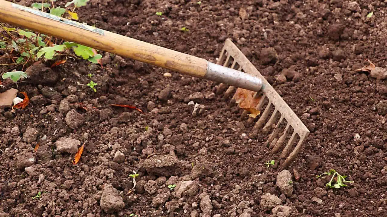 10 Lawn Fixes You Must Do Now 9