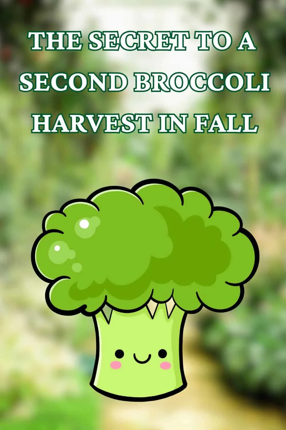 The Secret to a Second Broccoli Harvest in Fall 1