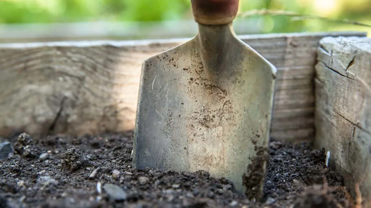 10 Soil Tricks That Make Fall Crops Explode With Growth 8