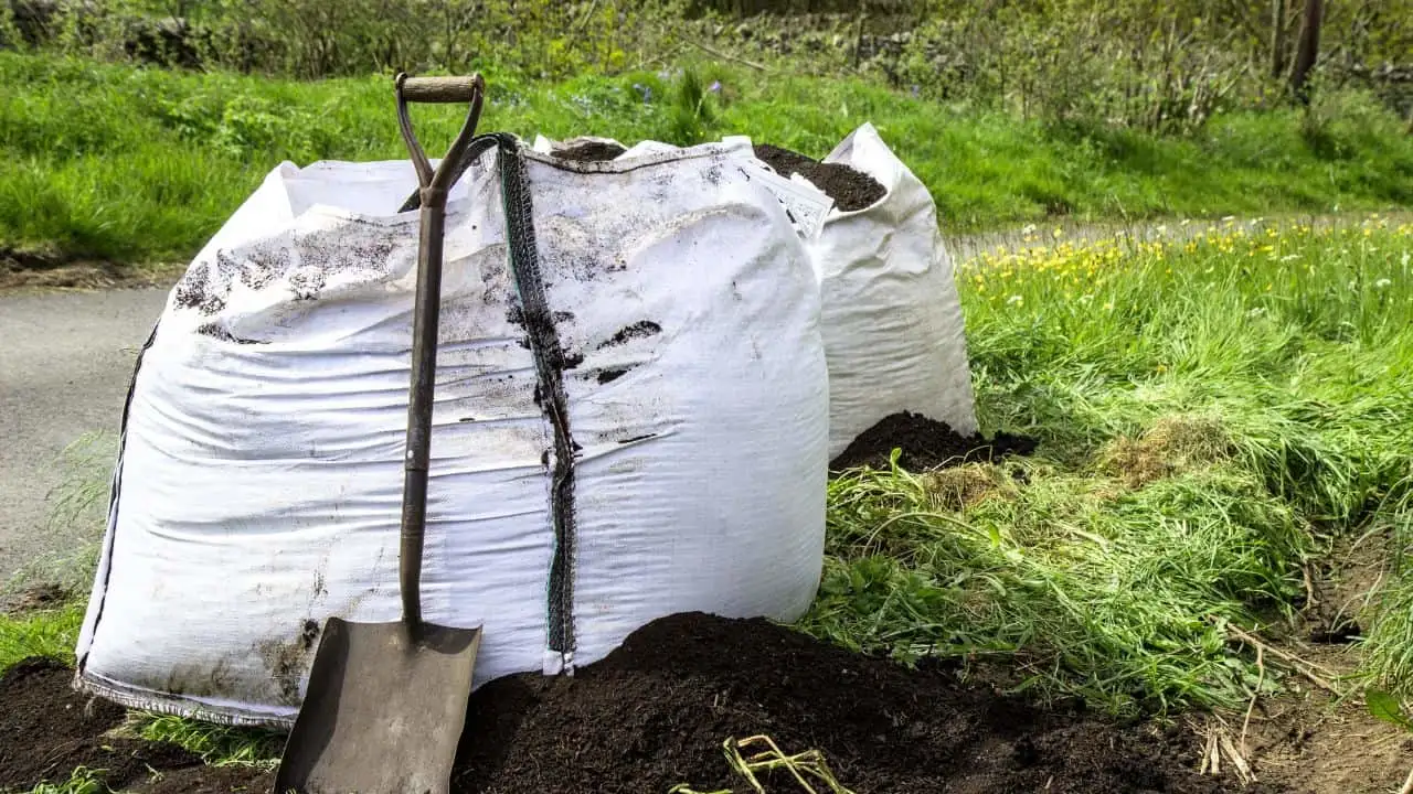 9 Late-Summer Garden Bargains You Should Grab Now 4