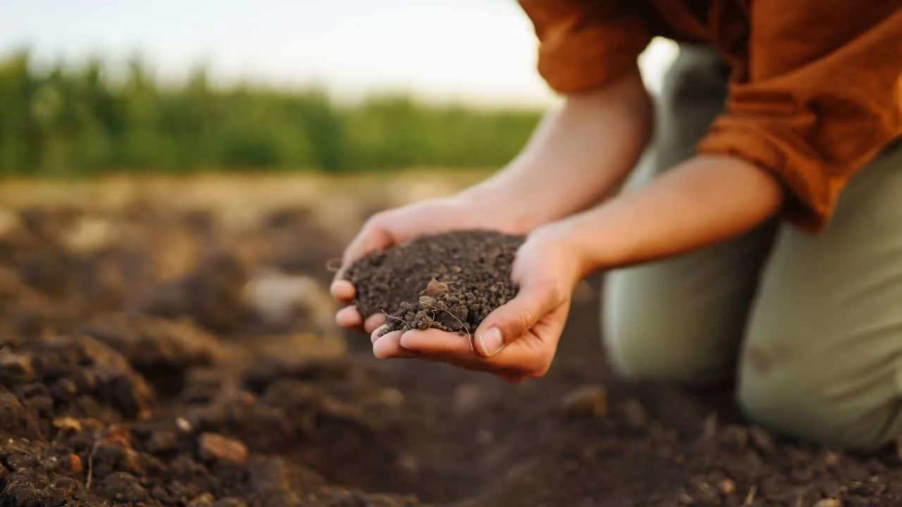 11 Early February Garden Planning Steps &mdash; What Most People Miss 2