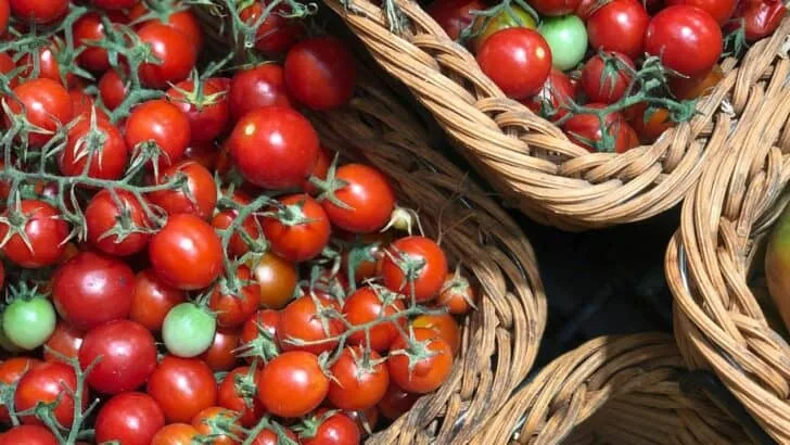 10 Tricks to Make Your September Harvest Huge