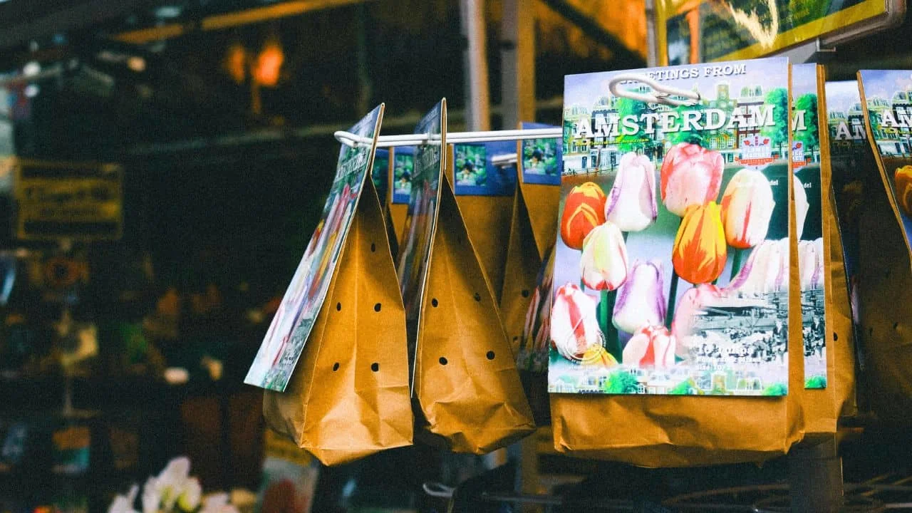 9 Late-Summer Garden Bargains You Should Grab Now 2