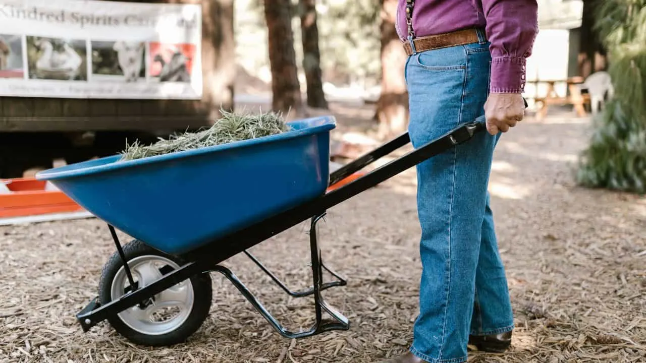 7 Tools That Save Your Garden in Fall 4