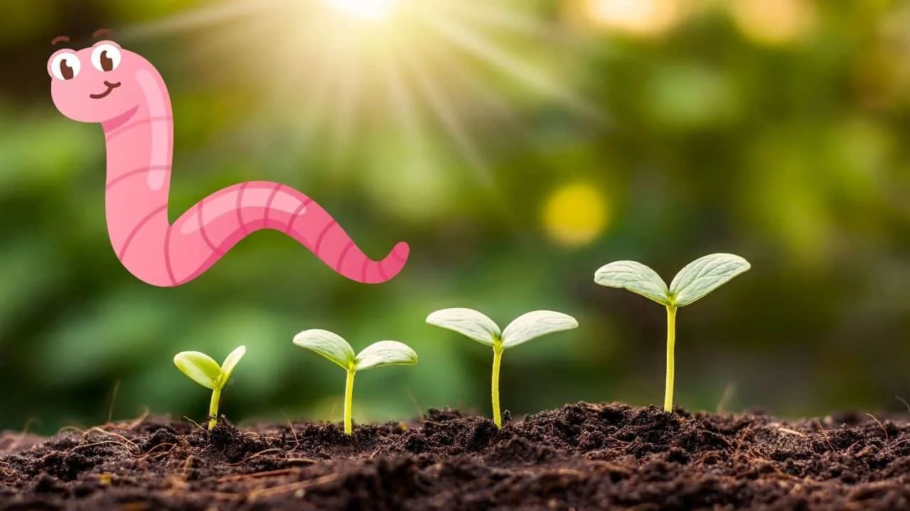 10 Soil Tricks That Make Fall Crops Explode With Growth 2