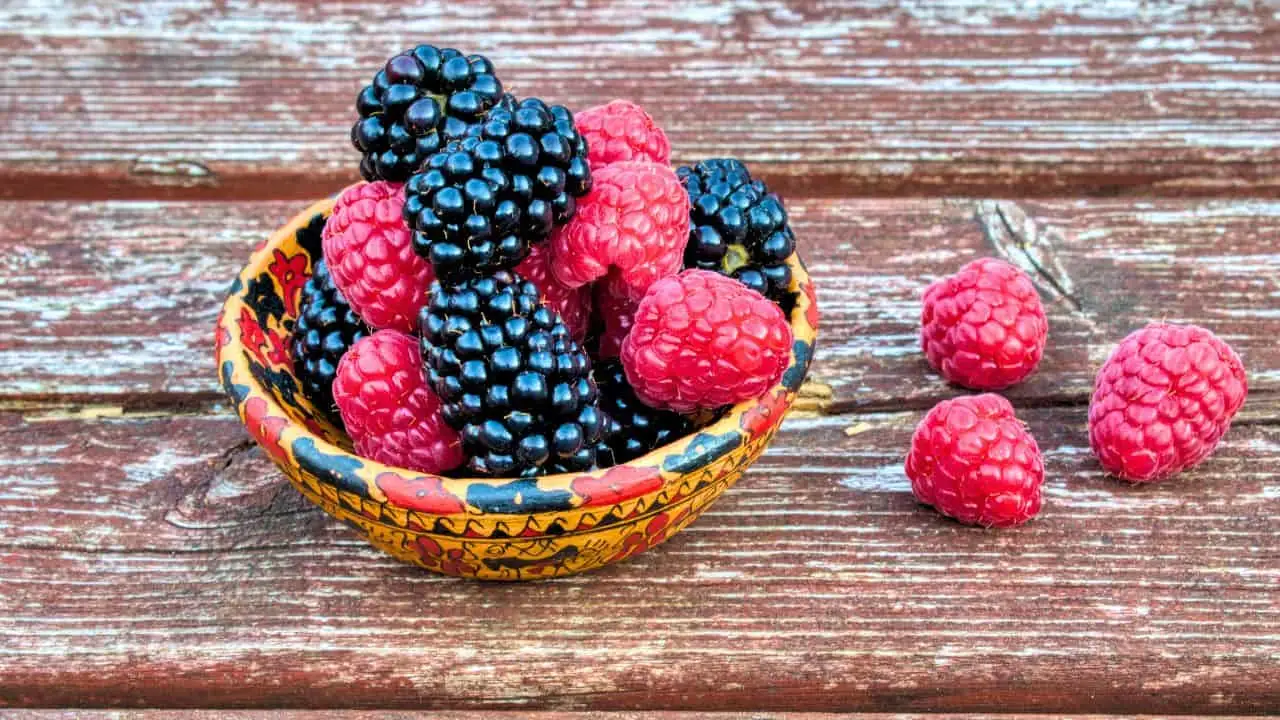 Don&rsquo;t Miss September If You Want More Berries 4