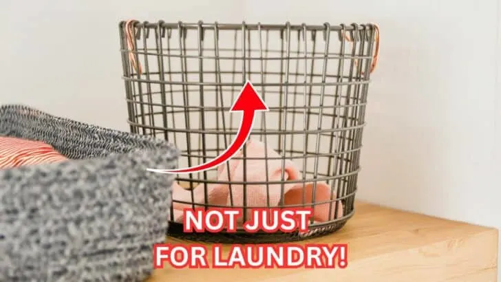 DIY Frost Protection Tricks That Cost Almost Nothing