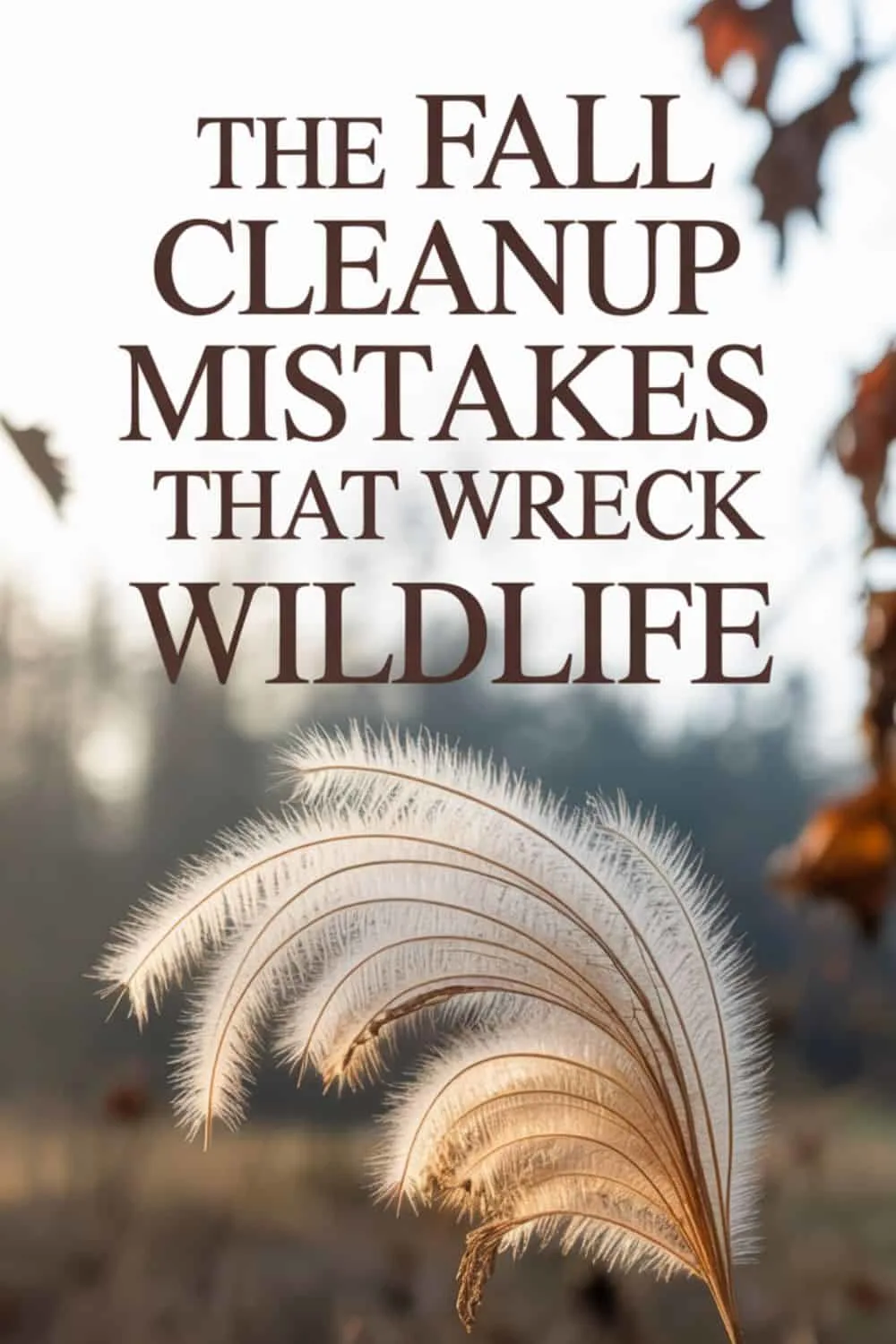 The Fall Cleanup Mistakes That Wreck Wildlife 1