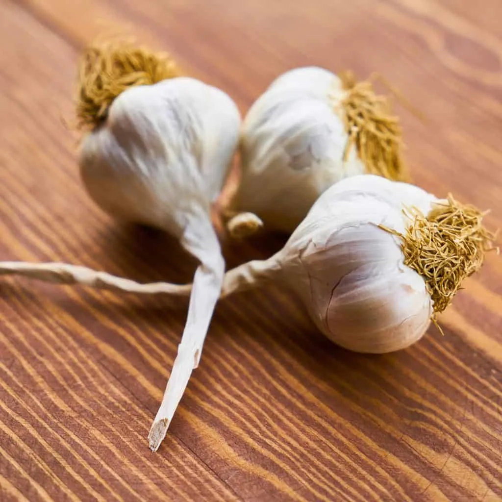10 Crops Worth the Most Cash 5