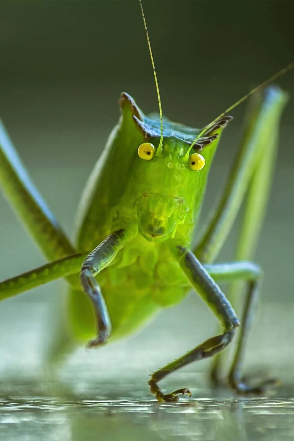 Pests That Go Wild in September (And How to Stop Them!) 5