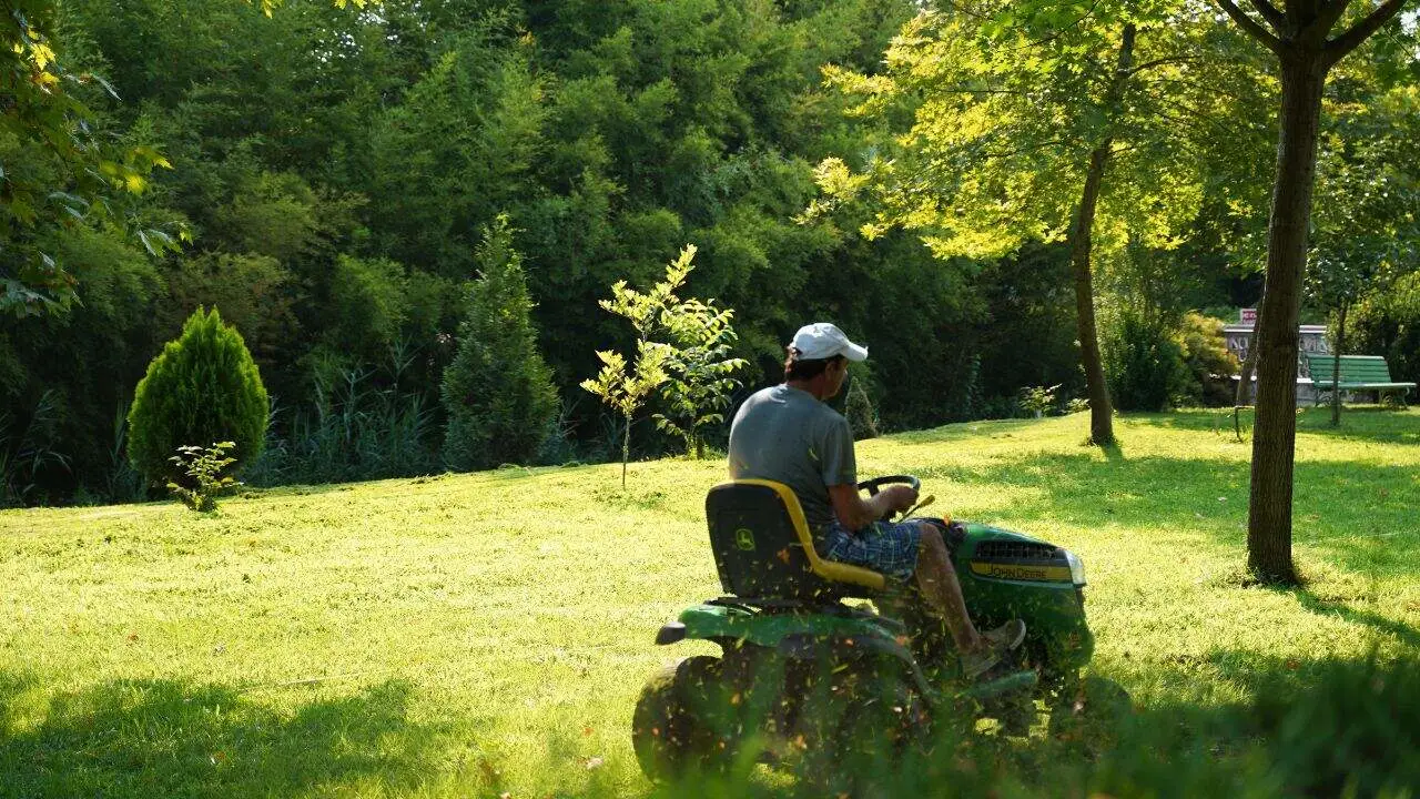 The Soil Temperature Guide Every Gardener Needs This Fall 2
