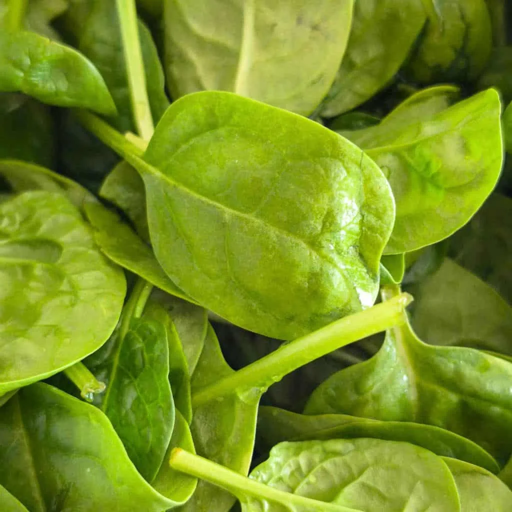 10 Crops Worth the Most Cash 2