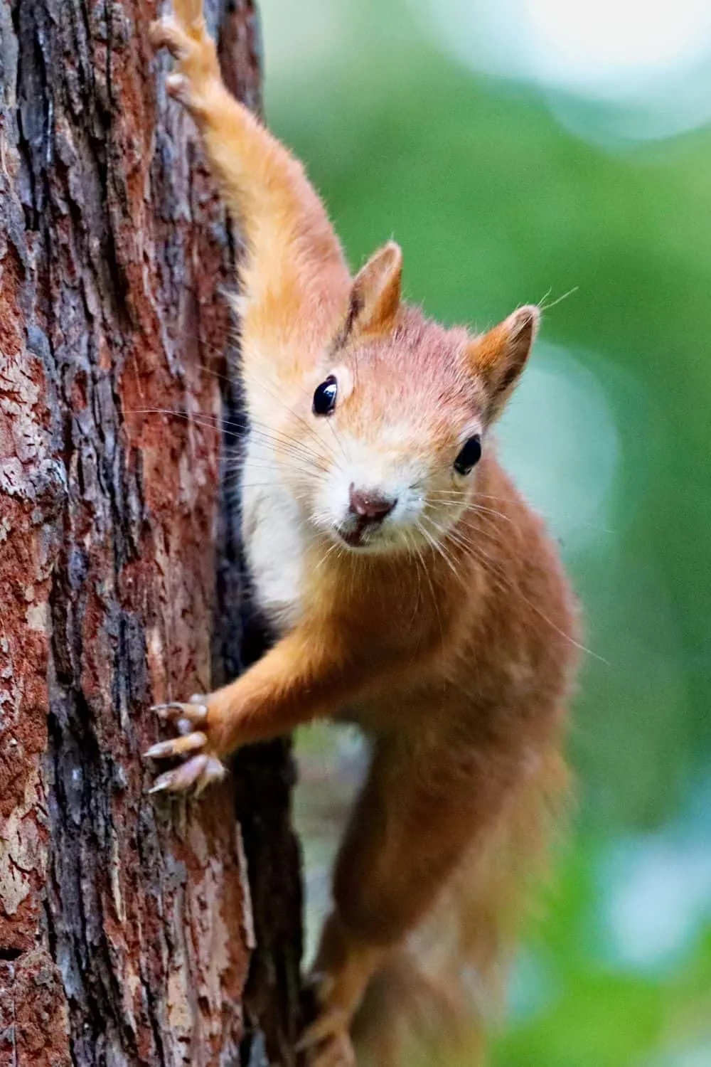 Pests That Go Wild in September (And How to Stop Them!) 6