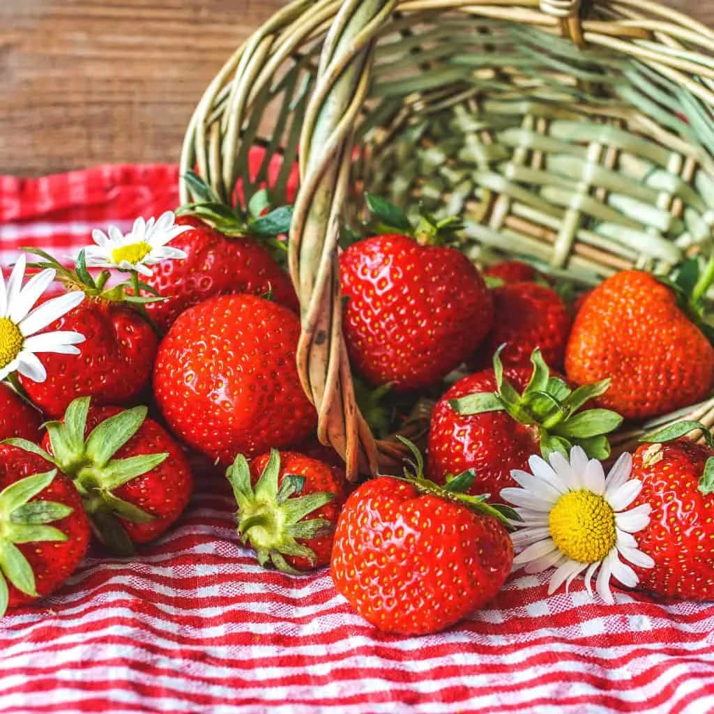 10 Crops Worth the Most Cash 6