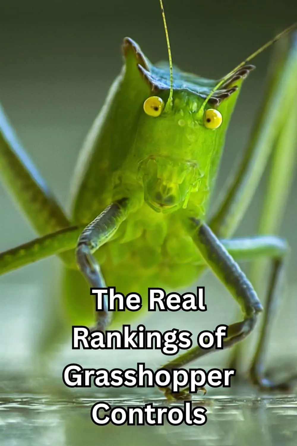 The Real Rankings of Grasshopper Controls 1