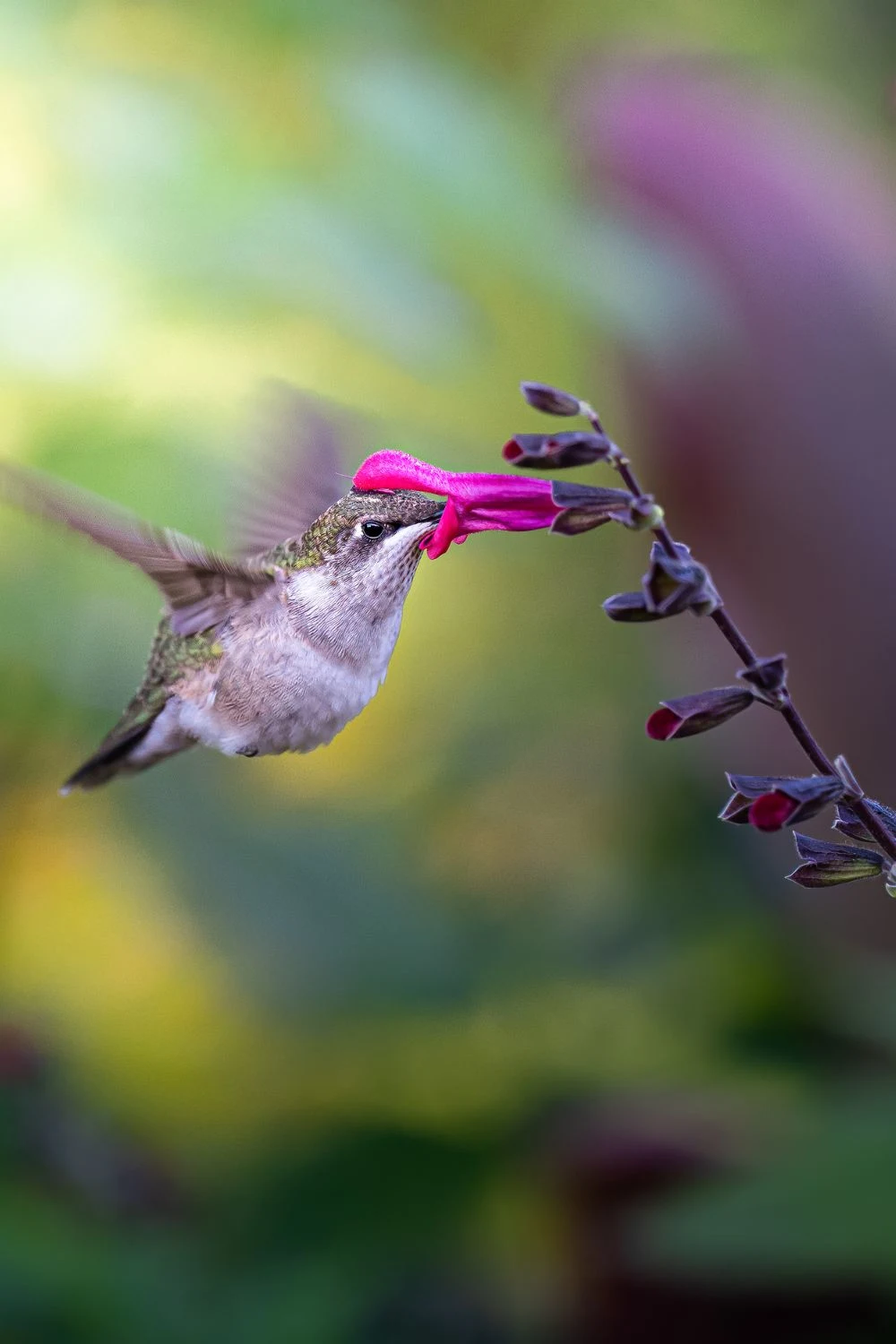 The Fall Cleanup Mistakes That Wreck Wildlife 2